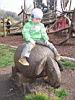 100_1168.JPG