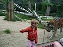 100_5295.JPG