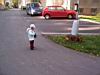 100_0040.JPG