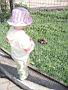 100_9556.JPG